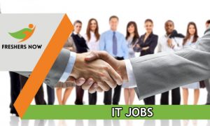 IT Jobs In India 2024 | Software Jobs For Freshers, Experienced