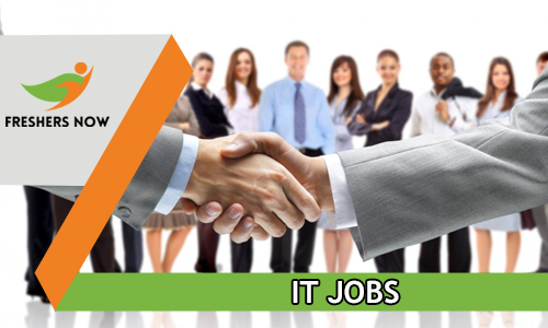 IT Jobs in India 2025 | Software Jobs For Freshers, Experienced