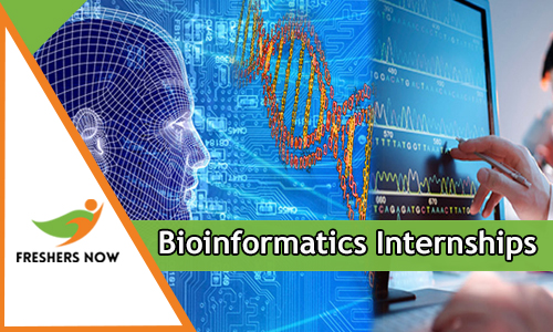 Bioinformatics Internships