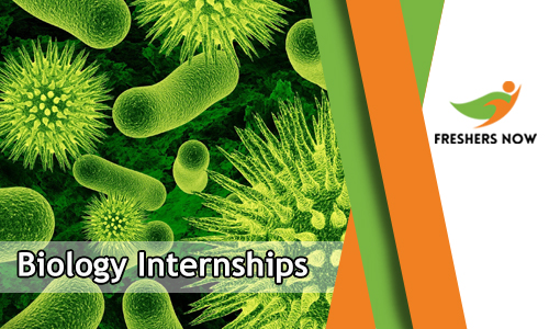 Biology Internships