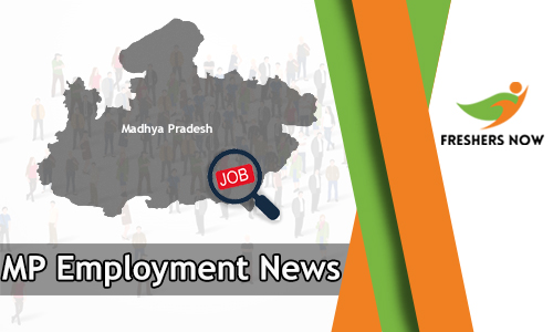 MP Employment News