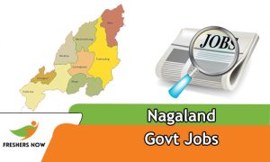 Nagaland Govt Jobs