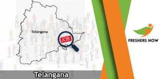 Telangana Employment News