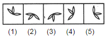 Classification Ques 13 Image