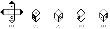 Cubes And Dices Q.3 Image 2