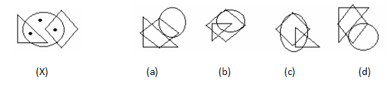 Dot Situation Non Verbal Reasoning Q28