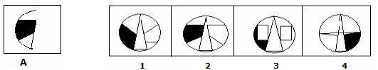 Embedded Images 10 Question Image