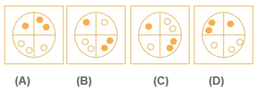 Series Non Verbal Reasoning Q20 Answer Figures