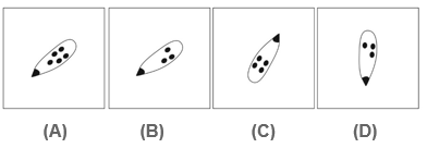 Series Non Verbal Reasoning Q23 Answer Figures