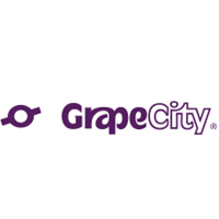 Grapecity Placement Papers