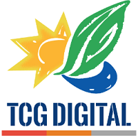 TCG Digital Placement Papers