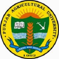 Punjab Agriculture University Admit Card 2019