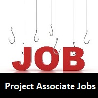 Cognizant Hiring Project Associate Job| Apply Right Now