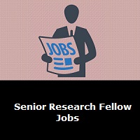 senior research fellow interview questions