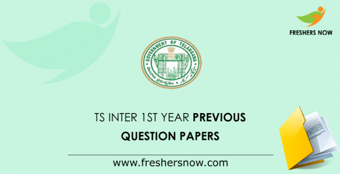 TS Inter 1st Year Previous Question Papers