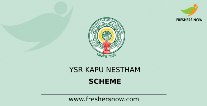 YSR Kapu Nestham Scheme