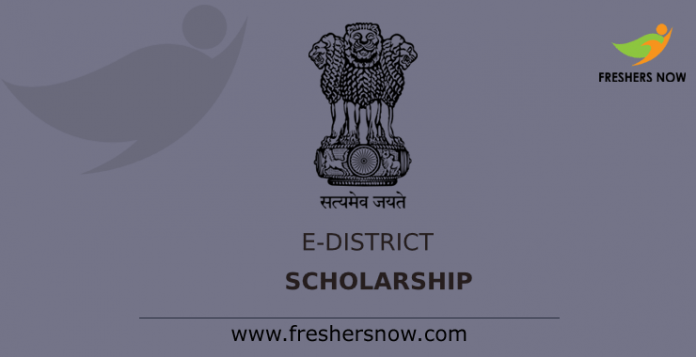 E – District Scholarship