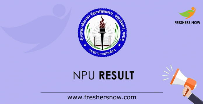 NPU Result