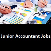 accountant