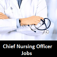 chief nursing officer jobs chicago