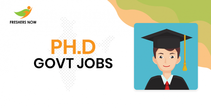 government jobs phd english