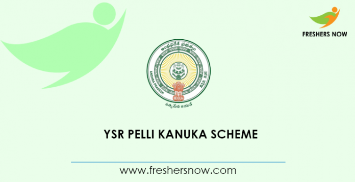 YSR Pelli Kanuka Scheme 2020
