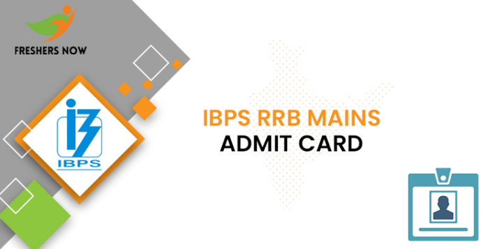 IBPS RRB Officer Mains Admit Card