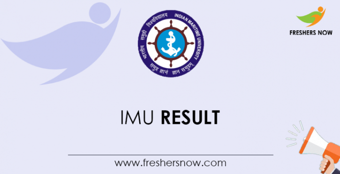 IMU Result