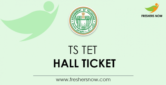 TS TET Hall Ticket 2024