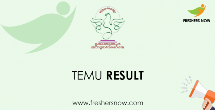 TEMU-Result