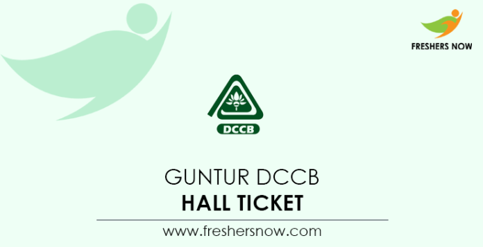 Guntur DCCB Hall Ticket