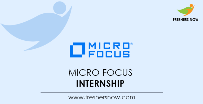 Micro Focus Internship