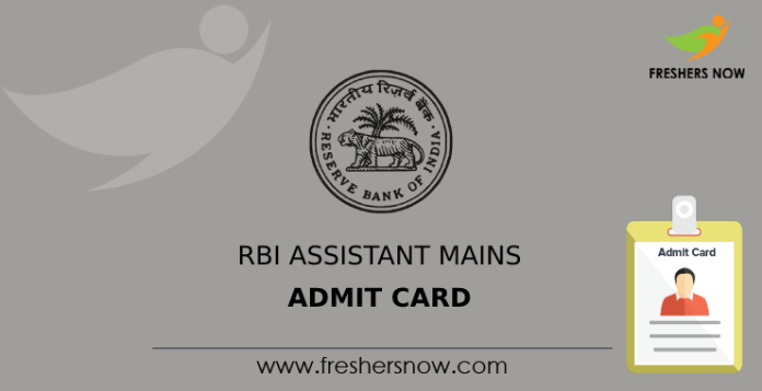 RBI Assistant Mains Admit Card