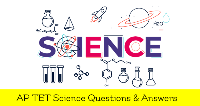 Science Quiz (1)
