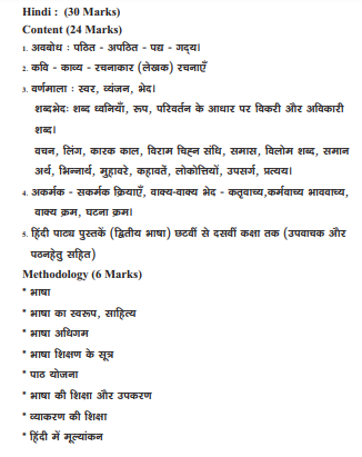 ap tet hindi topics