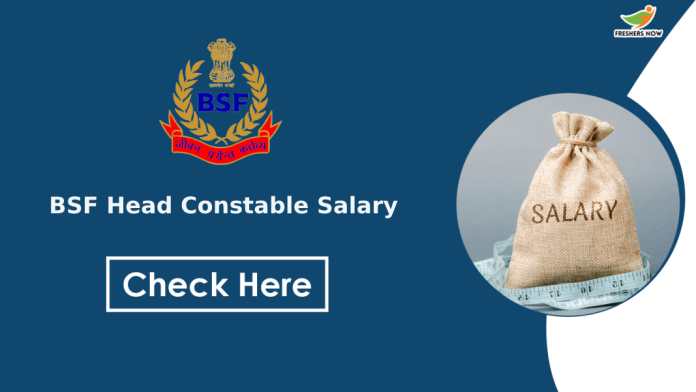 BSF Head Constable Salary