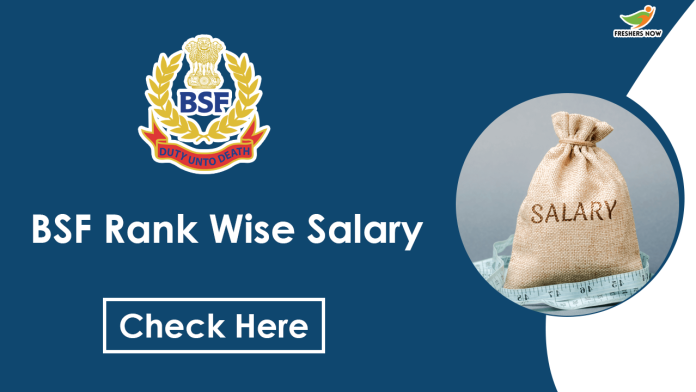 BSF-Rank-Wise-Salary