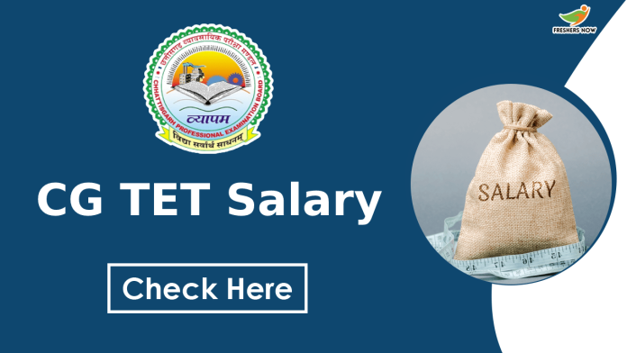 CG TET Salary