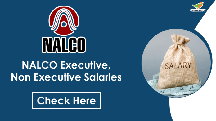 NALCO-Executive,-Non-Executive-Salaries