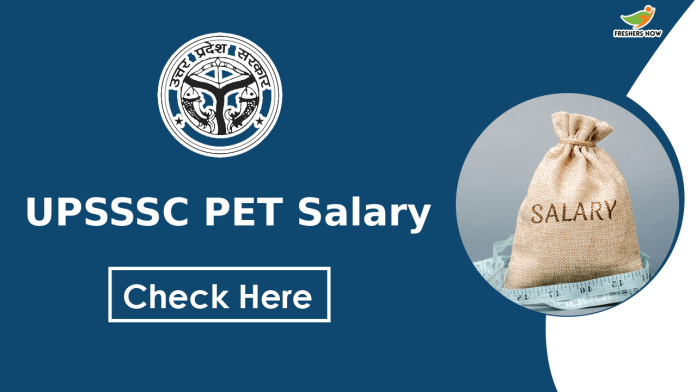 UPSSSC PET Salary