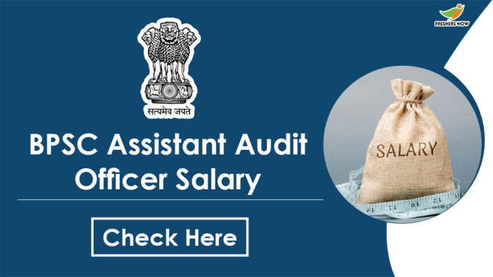 BPSC-Assistant-Audit-Officer-Salary-min