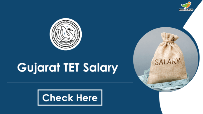 Gujarat-TET-Salary-min