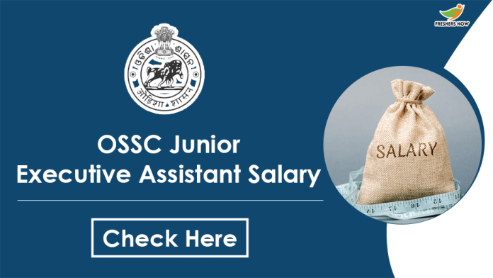 Ossc Junior Executive Assistant Salary