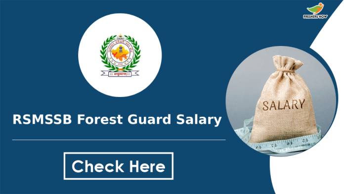 RSMSSB Forest Guard Salary
