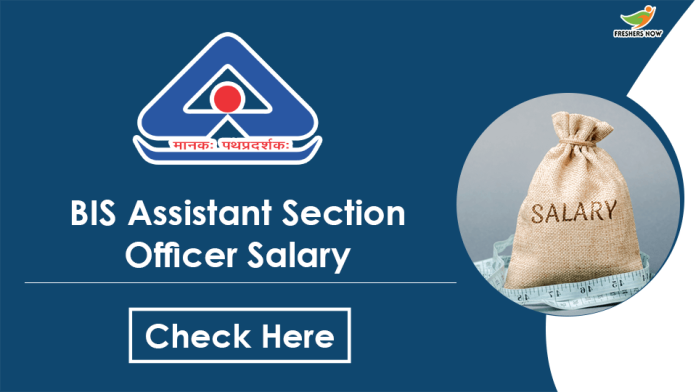 BIS-Assistant-Section-Officer-Salary-min