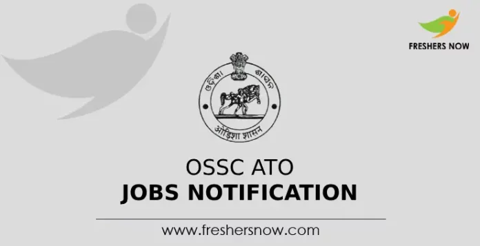 OSSC ATO Jobs Notification