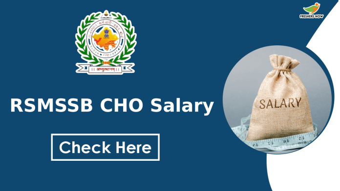 RSMSSB CHO Salary-min