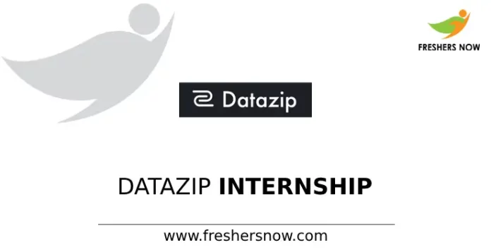 Datazip Internship