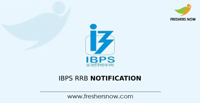 IBPS RRB Notification