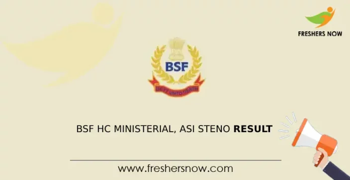 BSF HC Ministerial, ASI Steno Result